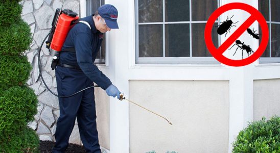 Zile Dezenfeksiyon böcek ilaçlama ve haşere kontrolü — ilaclama-tr.com